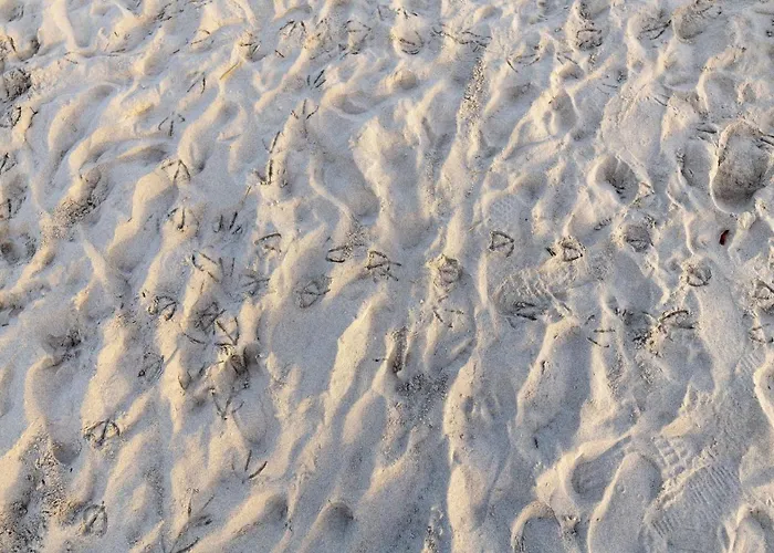 Daire Charming Sea Villas-villa Sleeps 6in Shared Pool Punta de su Torrione